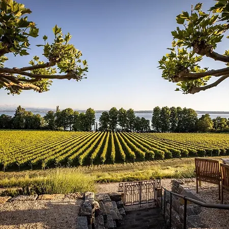 Schloss Kirchberg - Am Park Apartment Immenstaad am Bodensee