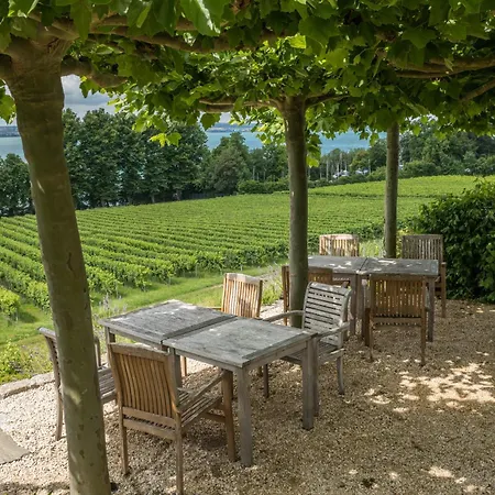 Apartman Schloss Kirchberg - Am Park *